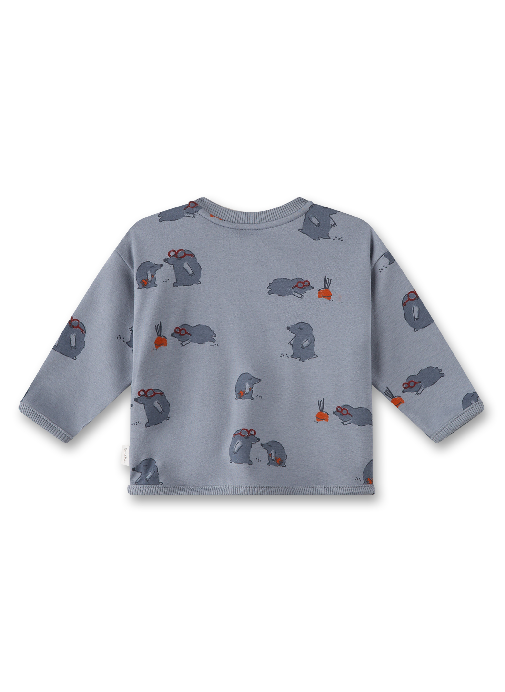 Jungen-Sweatshirt Grau