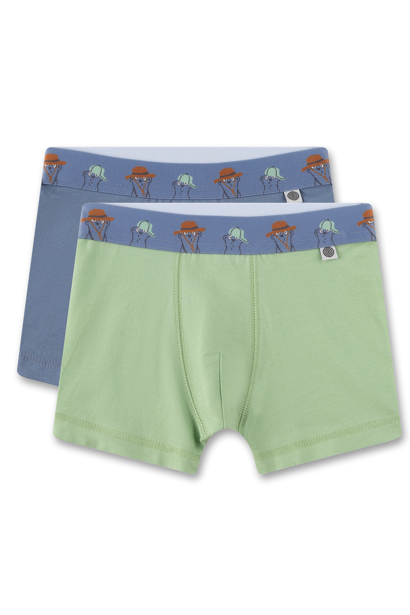 Jungen-Hipshorts (Doppelpack) grün & blau