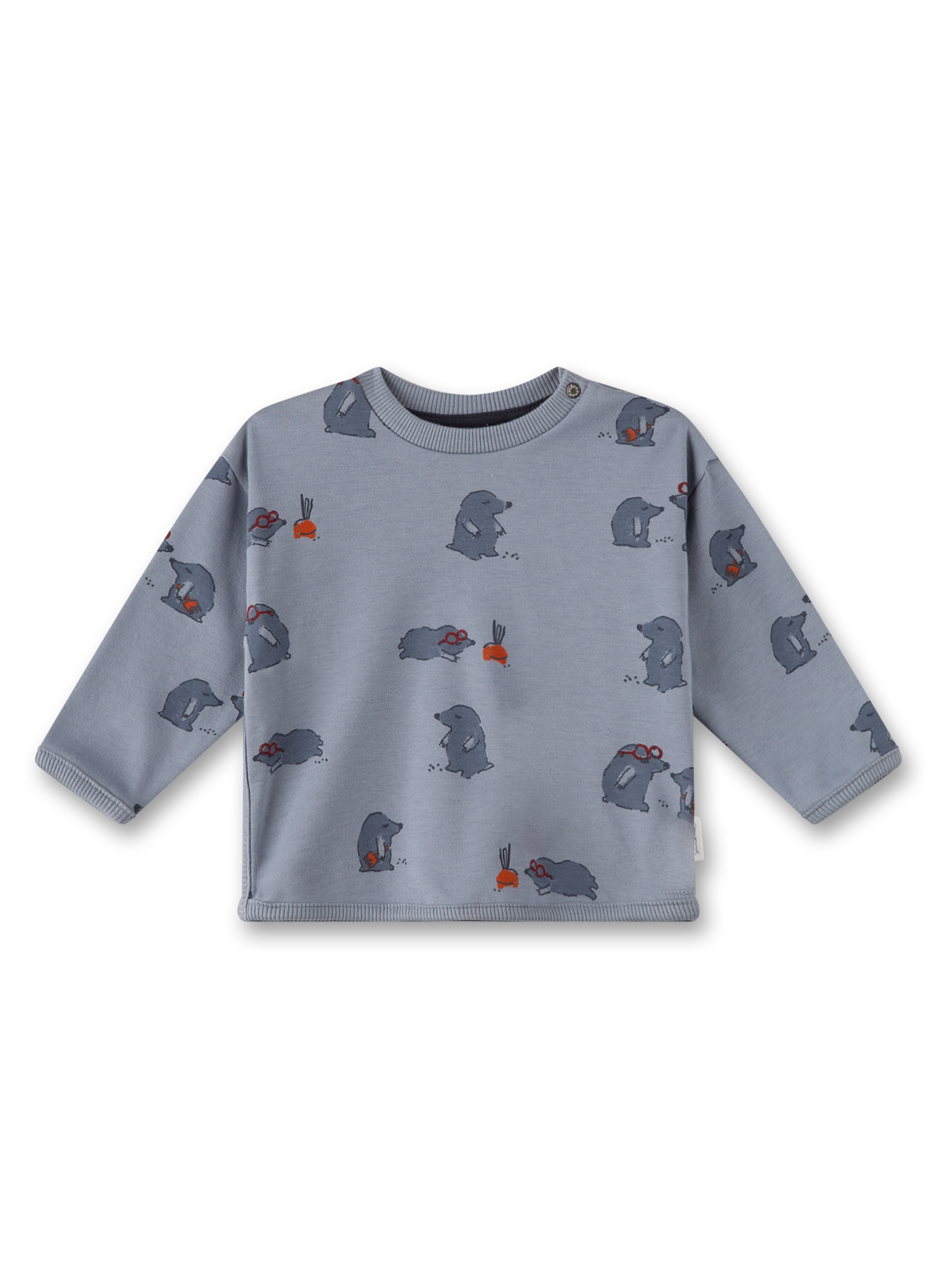 Sanetta Jungen-Sweatshirt Grau