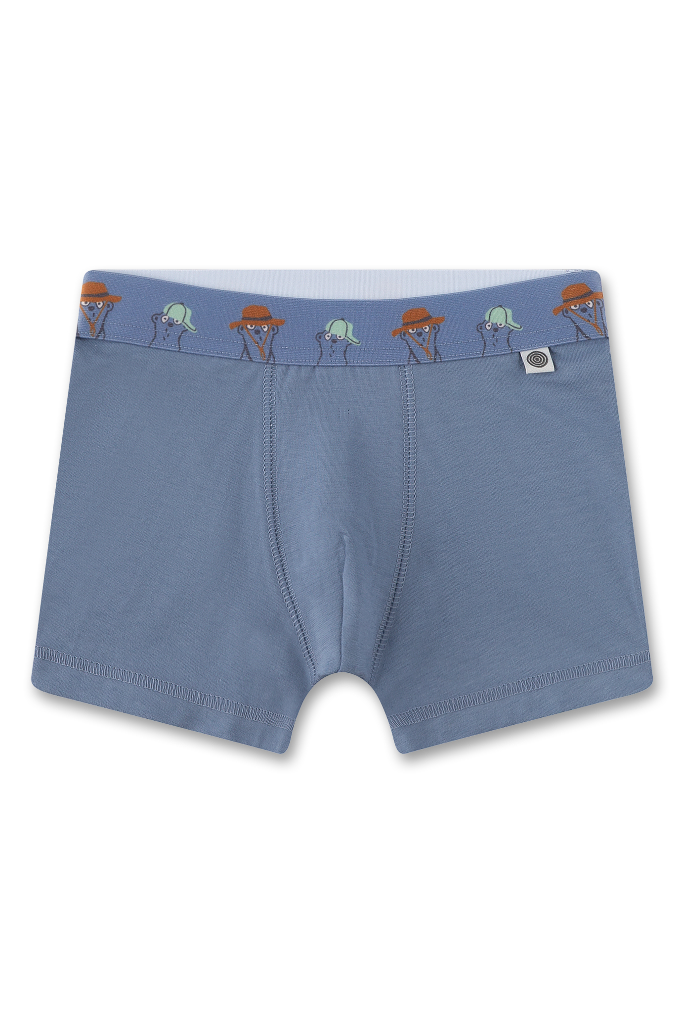 Jungen-Hipshorts (Doppelpack) grün & blau