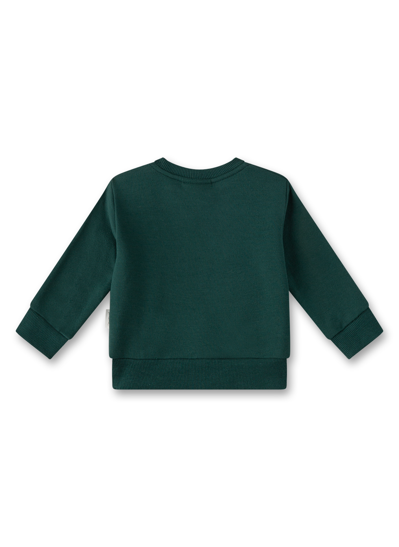 Jungen-Sweatshirt Grün