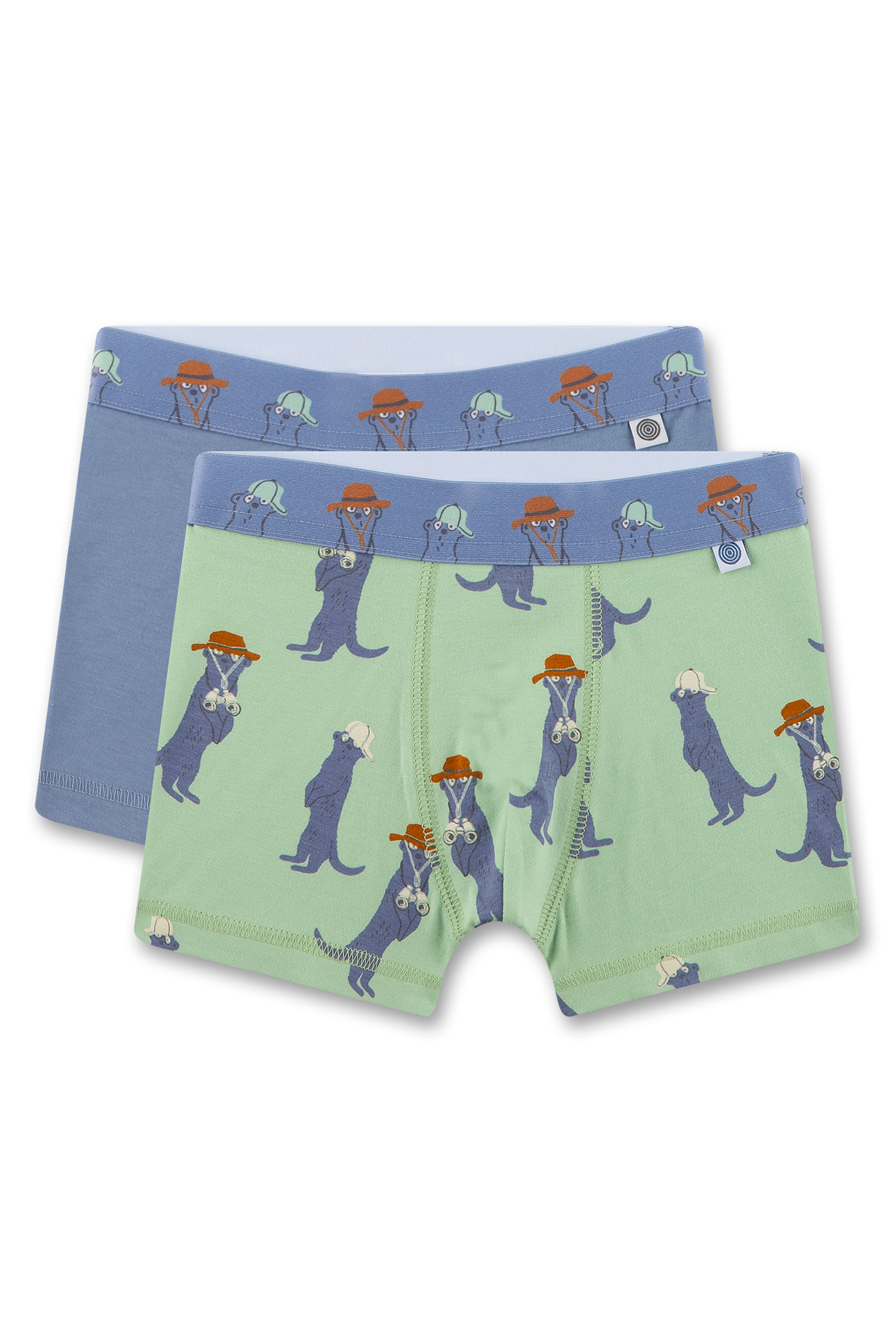 Jungen-Hipshorts (Doppelpack) grün & blau